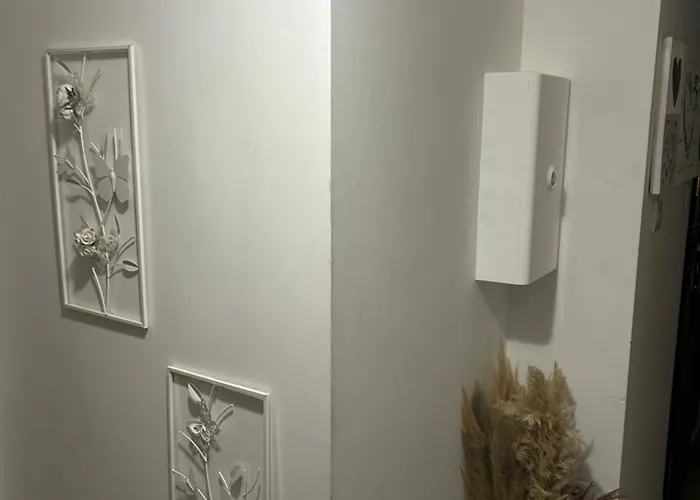 Coquet Appartement, Quartier Historique De Centre